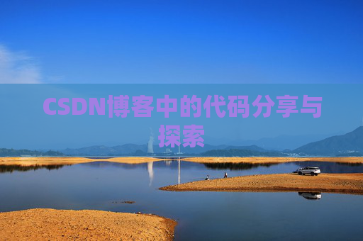 CSDN博客中的代码分享与探索